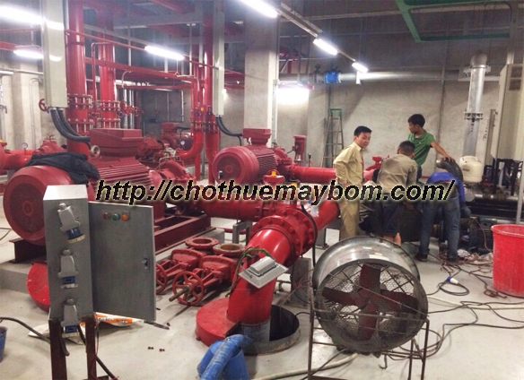 10 lý do vì sao Cường Thịnh Vương được gọi là địa chỉ cho thuê máy bơm nước tốt nhất tại Hà Nội