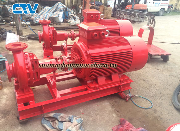 Hướng dẫn chọn mua máy bơm nước chính hãng