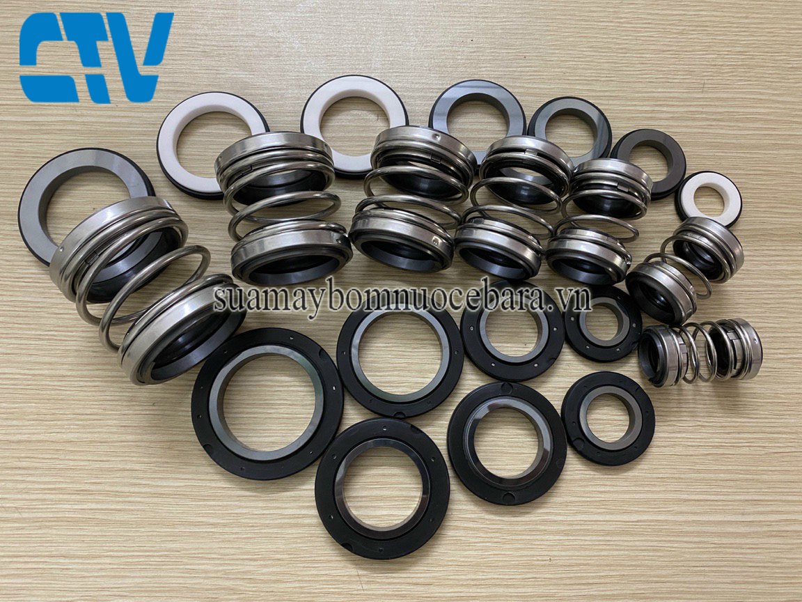 Sửa chữa, thay phớt máy bơm trục đứng Ebara chuyên nghiệp tại Hà Nội