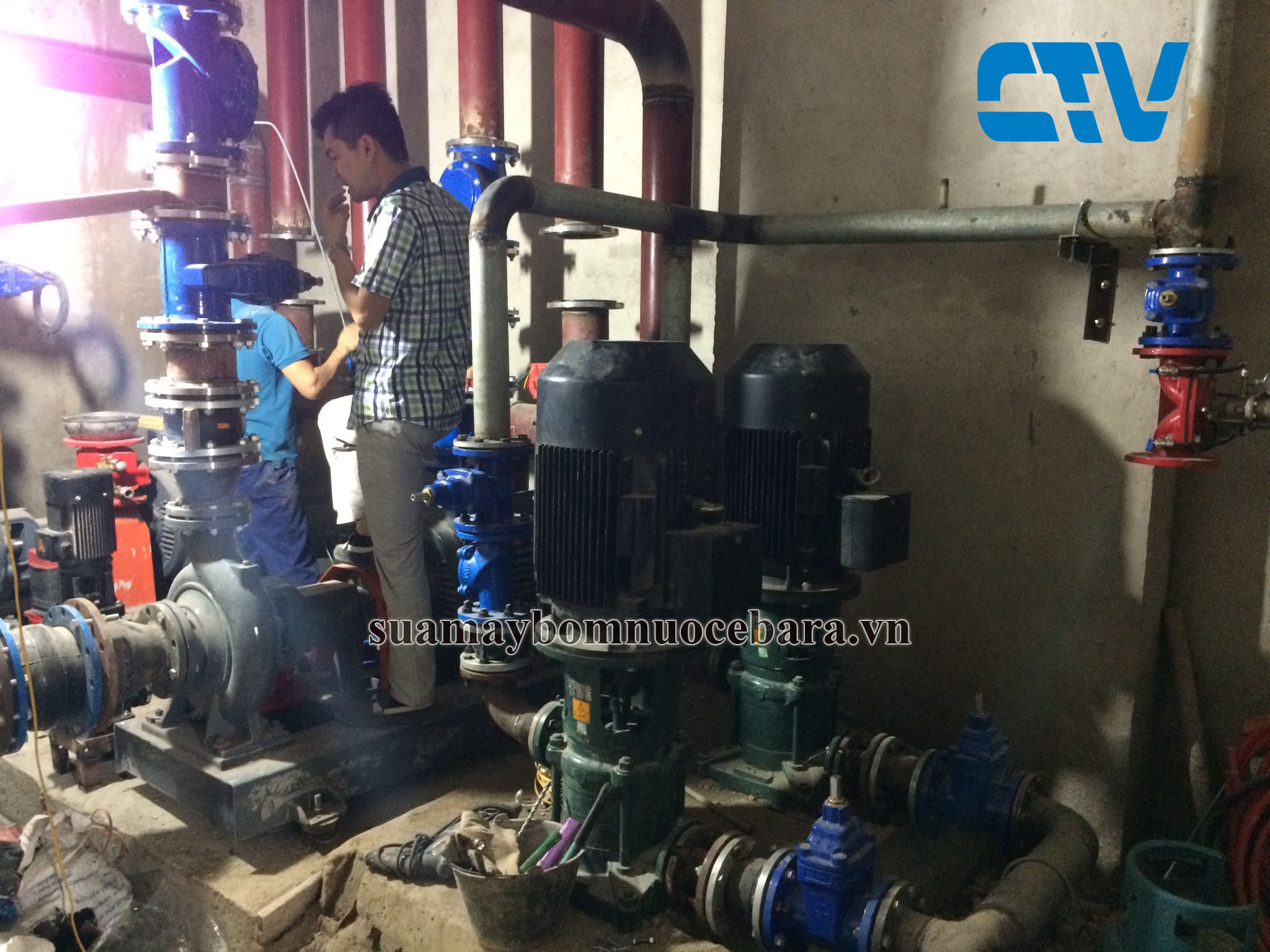 Cường Thịnh Vương: Dịch Vụ Sửa Chữa Máy Bơm Trục Đứng Chuyên Sâu - Đảm Bảo Hiệu Suất Tối Ưu Cho Hệ Thống Của Bạn