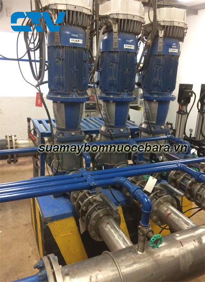 Dịch vụ sửa máy bơm trục đứng Ebara giá rẻ cho các khách hàng trên toàn quốc