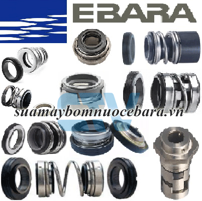 Phớt Máy Bơm Ebara