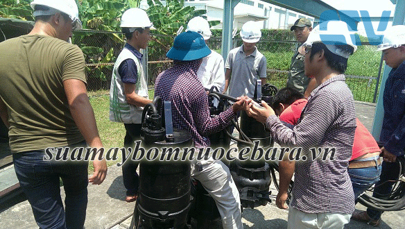 Cho thuê máy bơm nước chính hãng, giá rẻ tại Hà Nội