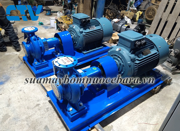 Cho Thuê Máy Bơm Trục Rời