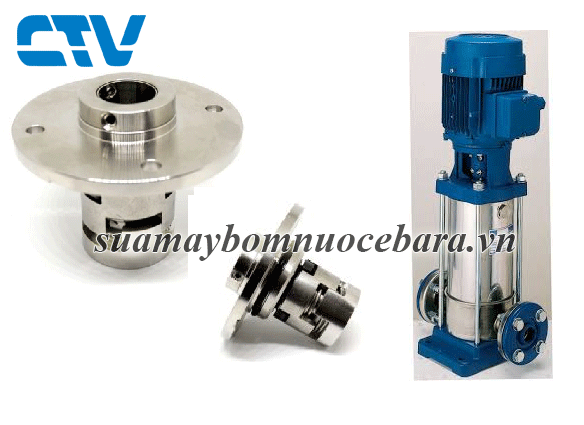 Phớt Trục Đứng Máy Bơm Teral