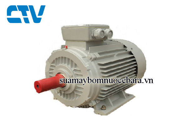 Động cơ điện ESC