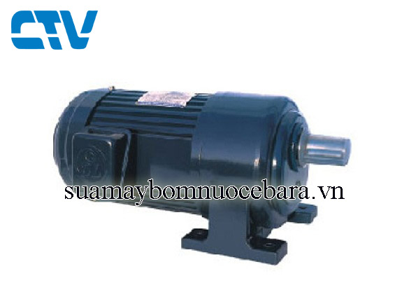 Động cơ giảm tốc chân đế Dolin