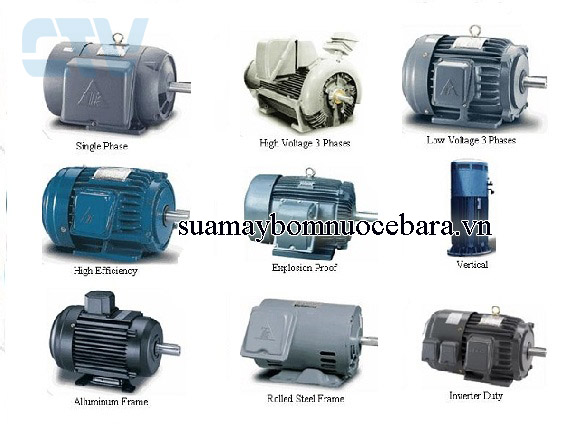 Động cơ máy bơm Teco