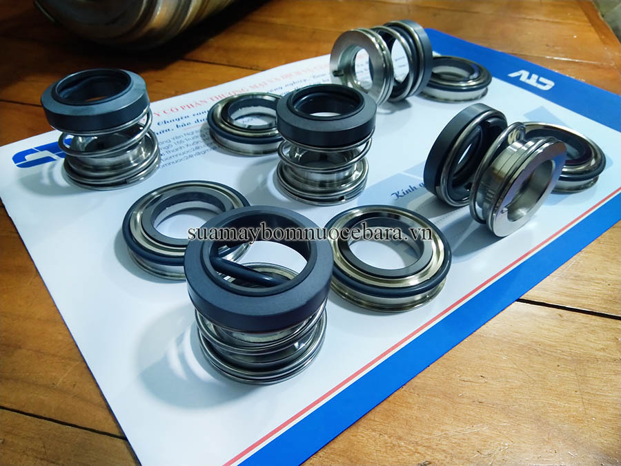 Phớt máy bơm (phớt cơ khí) dùng trong thực phẩm, dược phẩm
