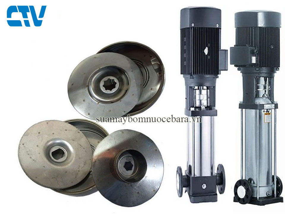 Ruột buồng bơm trục đứng Paragon PV12-40