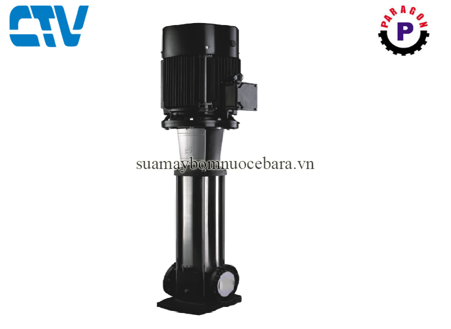 Máy bơm nước trục đứng Paragon PV 65-30/1