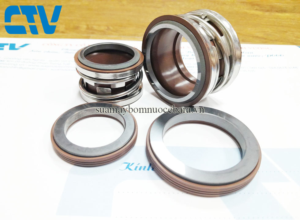 Phớt máy bơm trục ngang Teral 2100-80